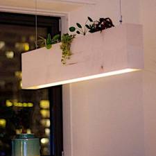 Plantenlamp
Uitgevoerd in gespiegeld esdoornhout door Peter van de Lageweg
