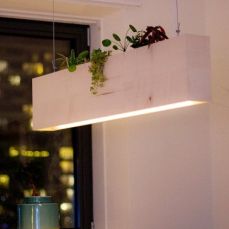 Plantenlamp
Uitgevoerd in gespiegeld esdoornhout door Peter van de Lageweg